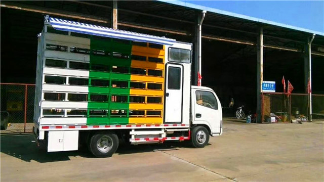 帶生活區(qū)藍(lán)牌養(yǎng)蜂車，兩邊固定意蜂箱40箱